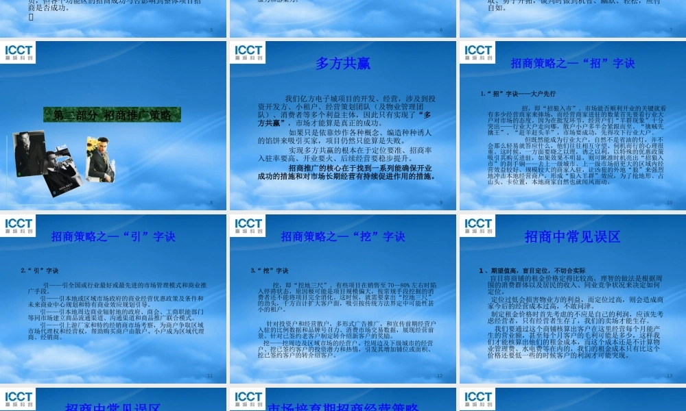 专业招商策略与技巧概述