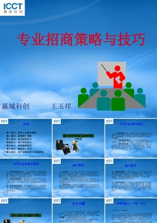 专业招商策略与技巧概述