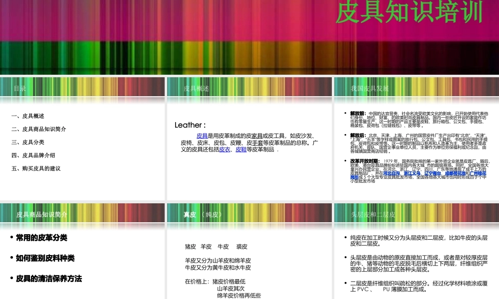 专业招商知识之--皮具培训
