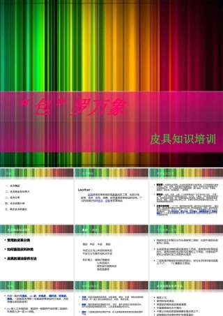 专业招商知识之皮具培训教材