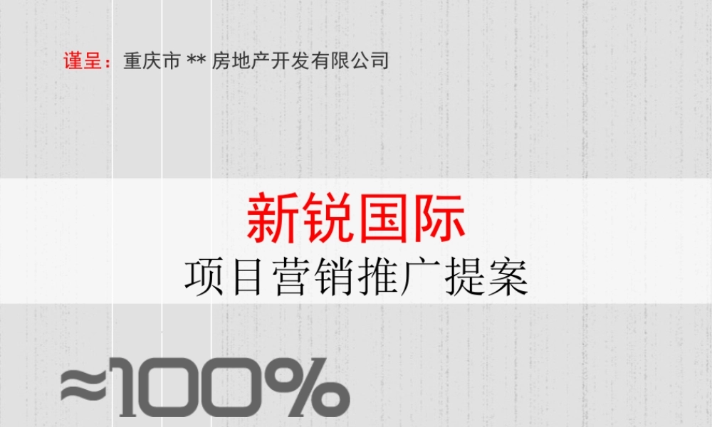 XXXX年重庆新锐国际项目营销推广提案