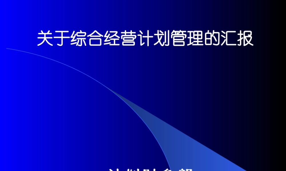 XXXX年综合经营计划