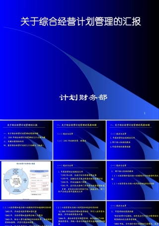 XXXX年综合经营计划