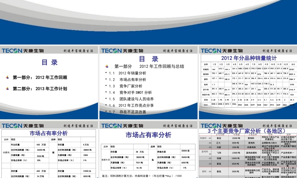 XXXX年总结及XXXX年工作计划