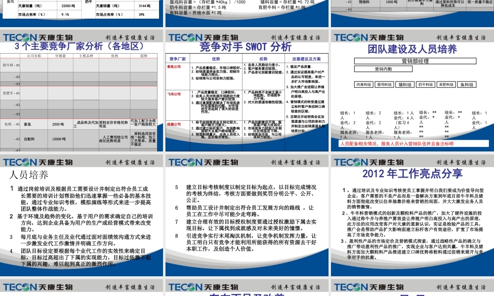 XXXX年总结及XXXX年工作计划