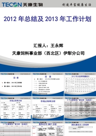 XXXX年总结及XXXX年工作计划