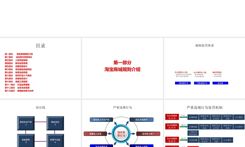 XXXX年最全面的天猫商城运营年度计划方案-副本