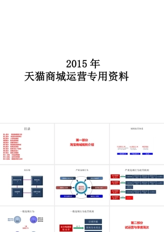 XXXX年最全面的天猫商城运营年度计划方案-副本