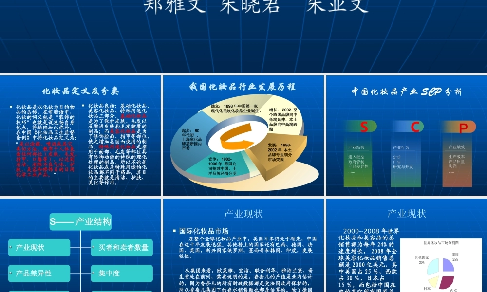 XXXX年最新中国化妆品行业分析