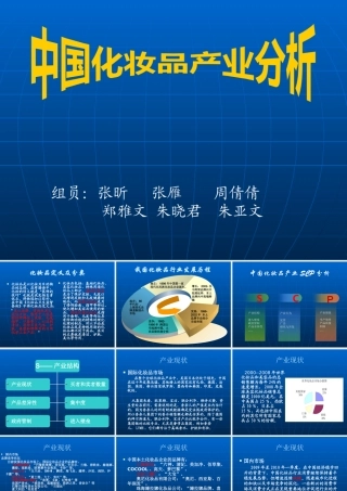 XXXX年最新中国化妆品行业分析