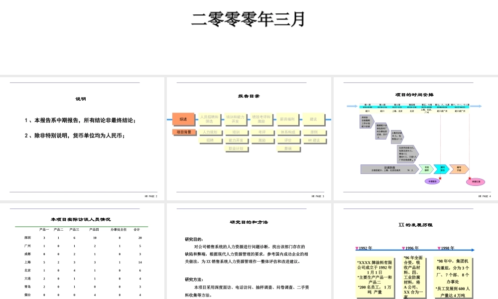 XXXX牌涂料公司HR诊断报告