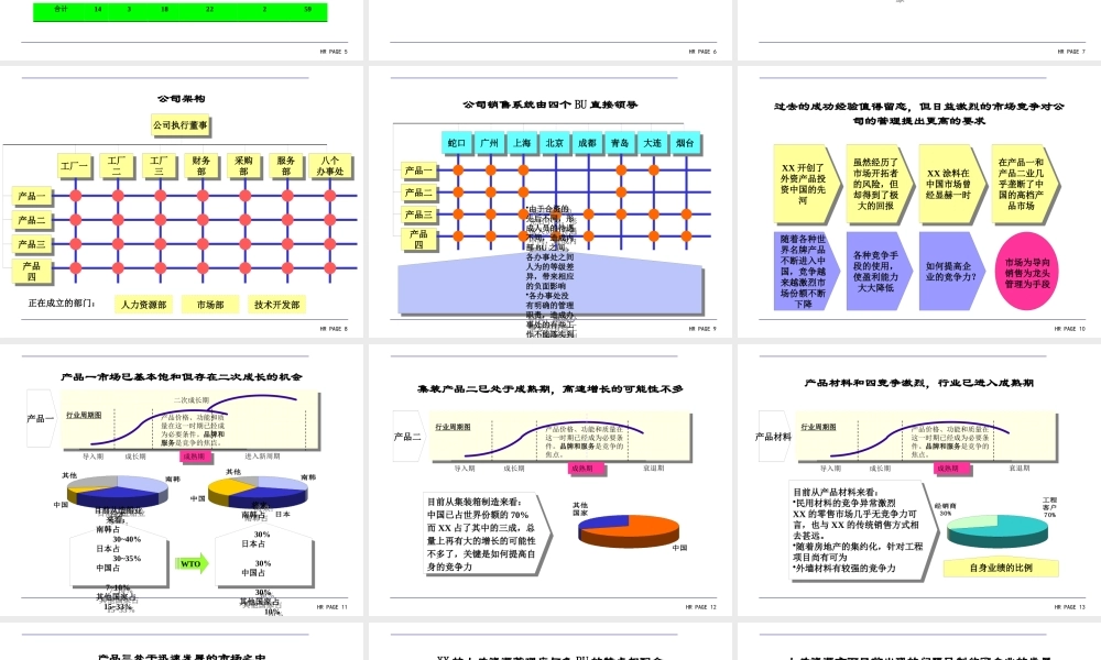 XXXX牌涂料公司HR诊断报告