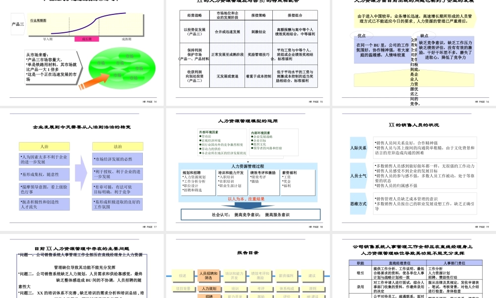 XXXX牌涂料公司HR诊断报告