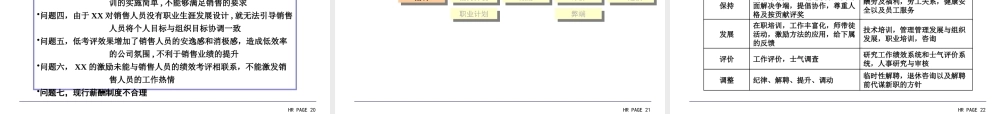 XXXX牌涂料公司HR诊断报告