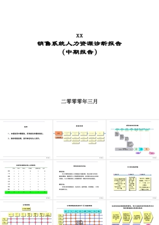 XXXX牌涂料公司HR诊断报告