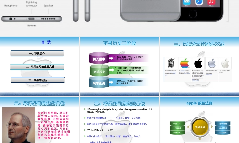 XXXX苹果公司创新案例