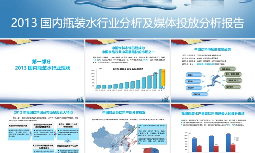 XXXX瓶装水行业报告