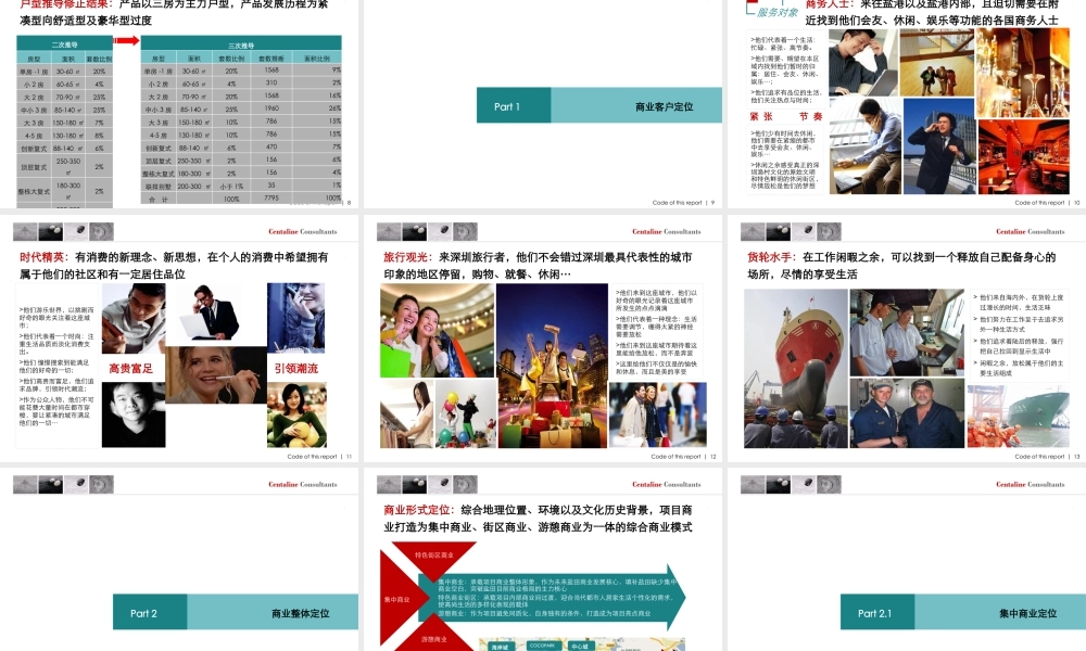 XXXX深圳好好年项目发展战略及定位报告