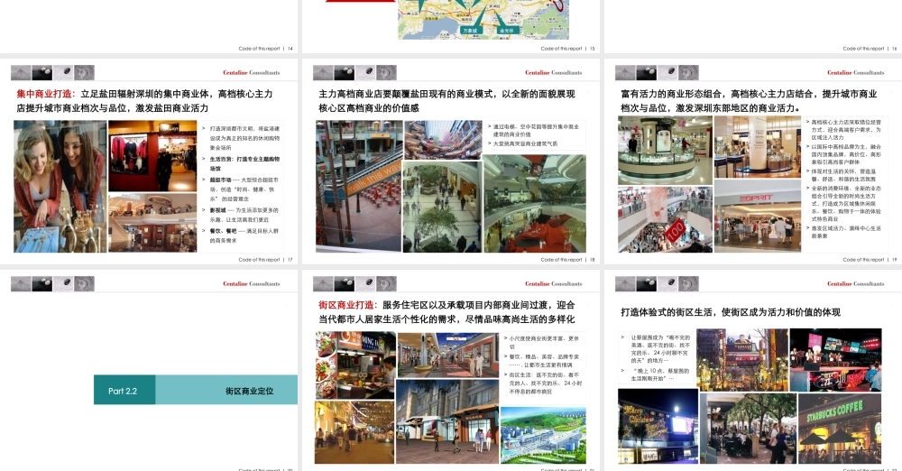 XXXX深圳好好年项目发展战略及定位报告