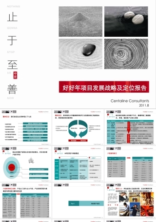 XXXX深圳好好年项目发展战略及定位报告