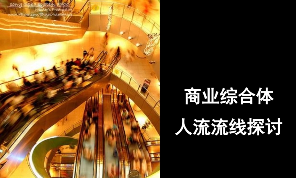 XXXX深圳商业综合体项目人流流线研究报告