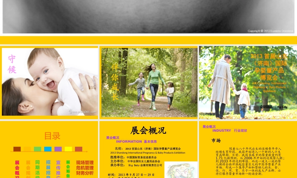 XXXX首届山东(济南)国际孕婴童产品博览会