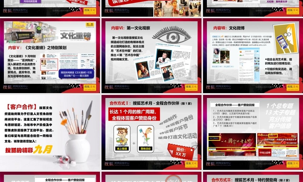 XXXX搜狐艺术月招商方案