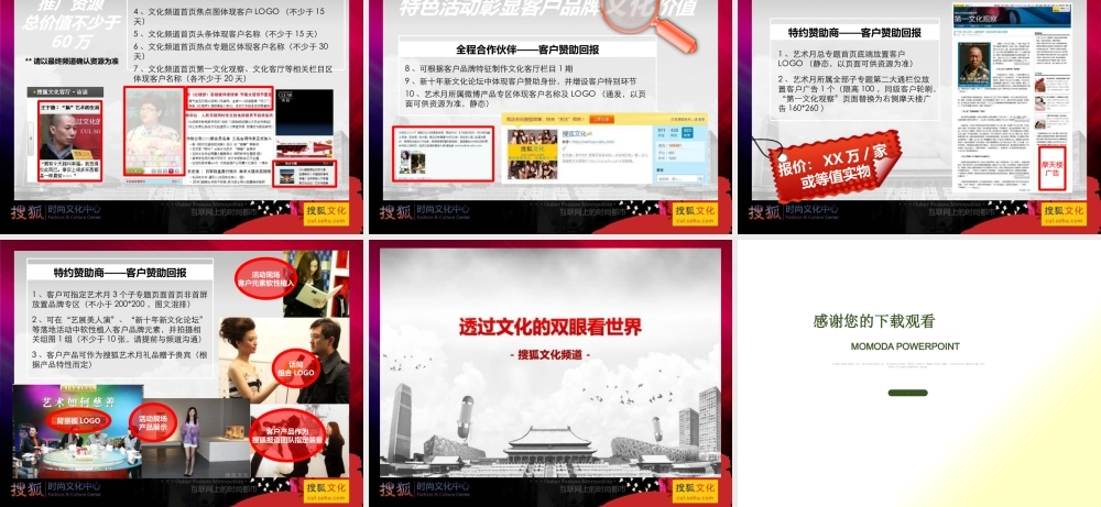 XXXX搜狐艺术月招商方案