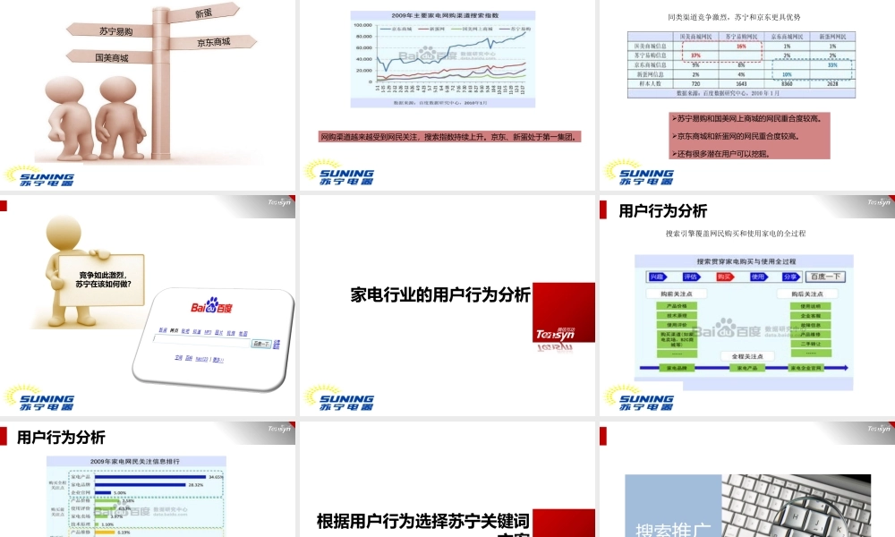 XXXX苏宁(SUNING)竞价排名SEM推广方案