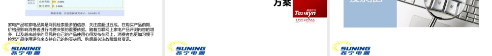 XXXX苏宁(SUNING)竞价排名SEM推广方案