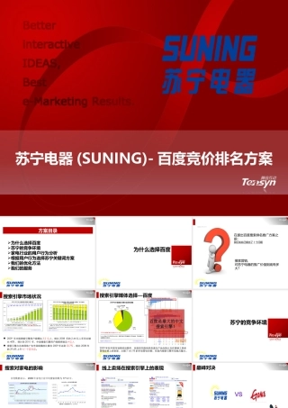 XXXX苏宁(SUNING)竞价排名SEM推广方案