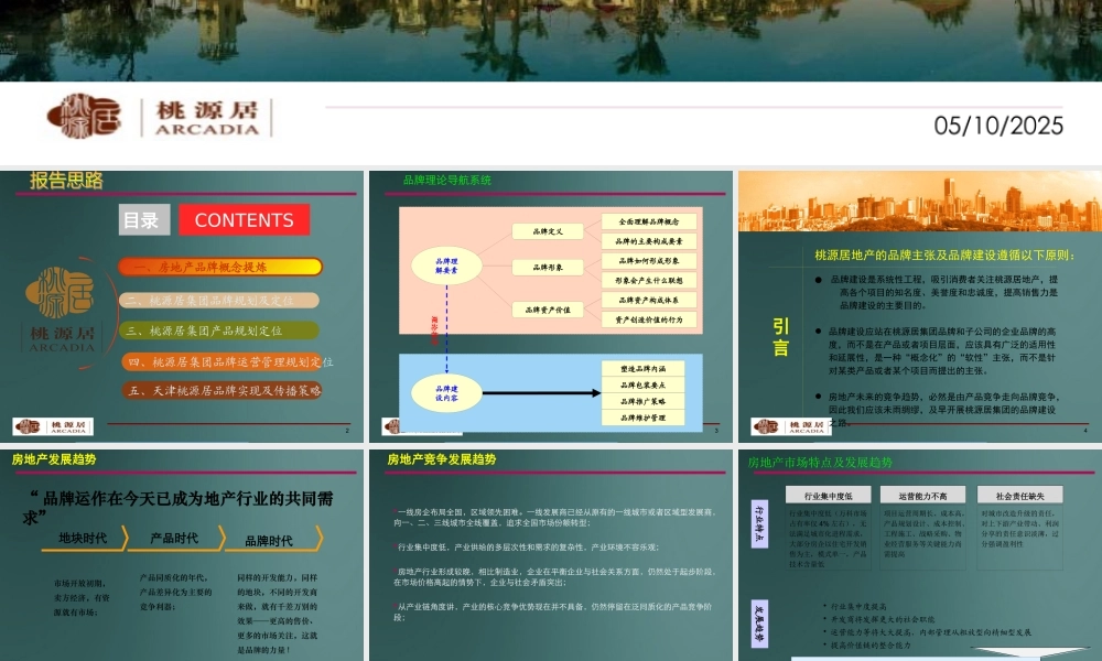 XXXX桃源居集团企业品牌战略规划建议(134p)