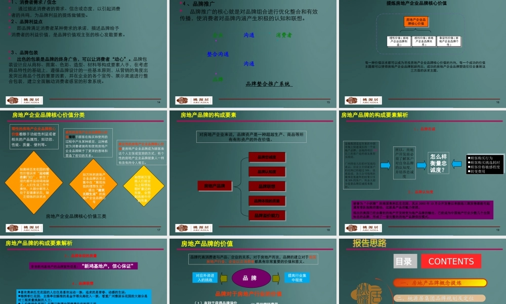 XXXX桃源居集团企业品牌战略规划建议(134p)