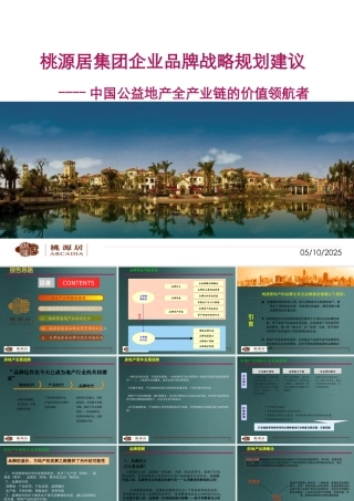 XXXX桃源居集团企业品牌战略规划建议(134p)