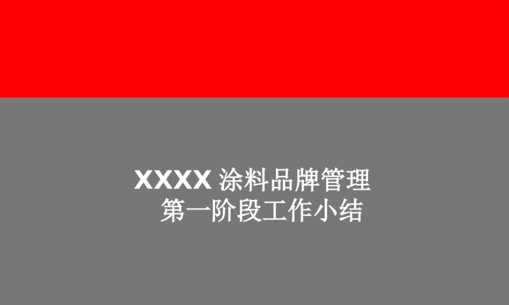 XXXX涂料品牌管理