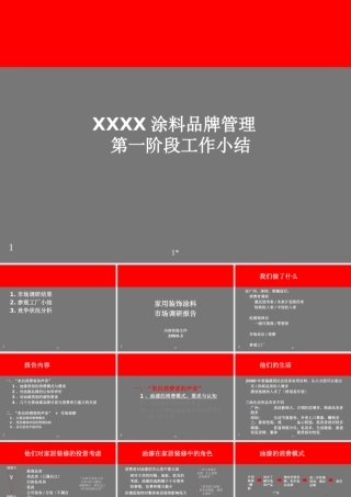 XXXX涂料品牌管理