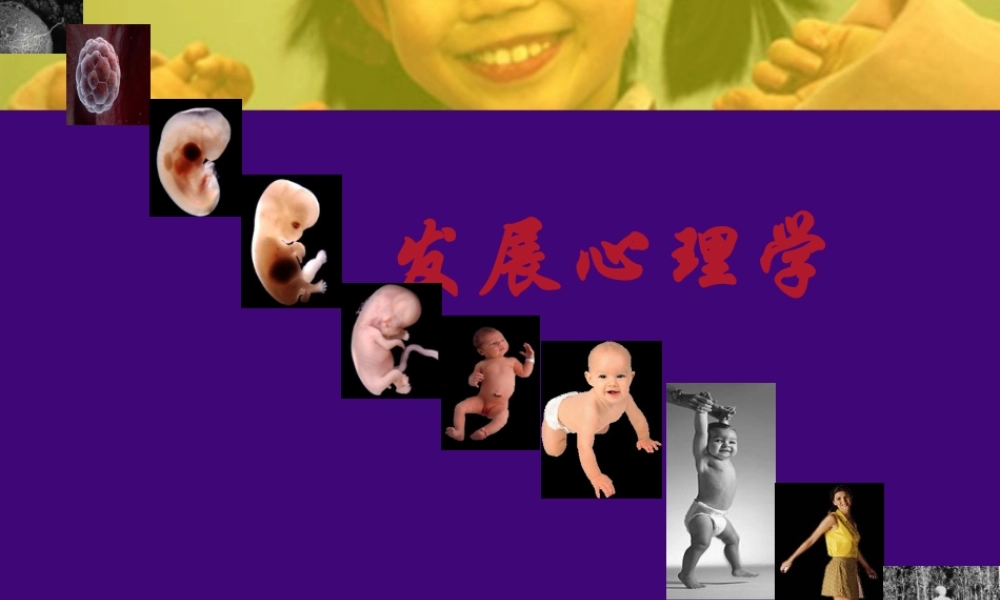 XXXX王浩的发展心理学
