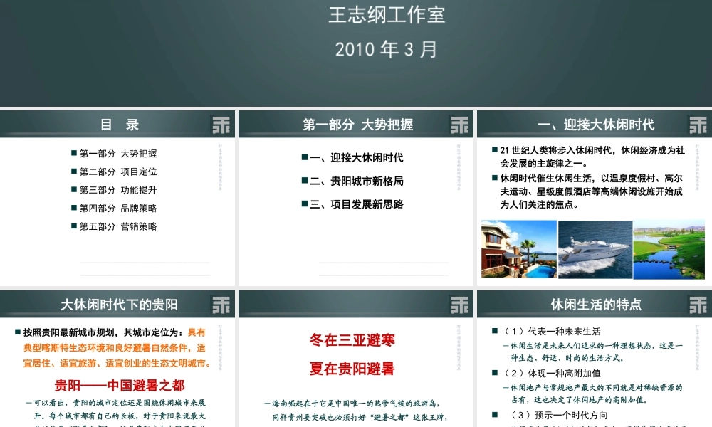 XXXX王志刚-贵阳乐湾项目总体策划方案