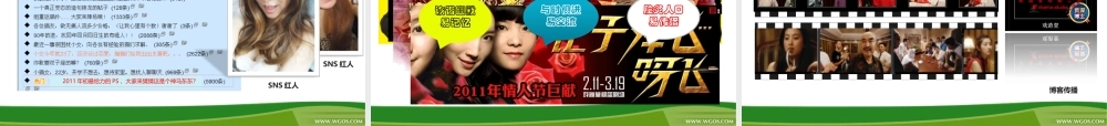 XXXX网丫场年度推广传播方案
