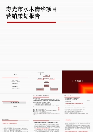 XXXX潍坊水木清华策划报告