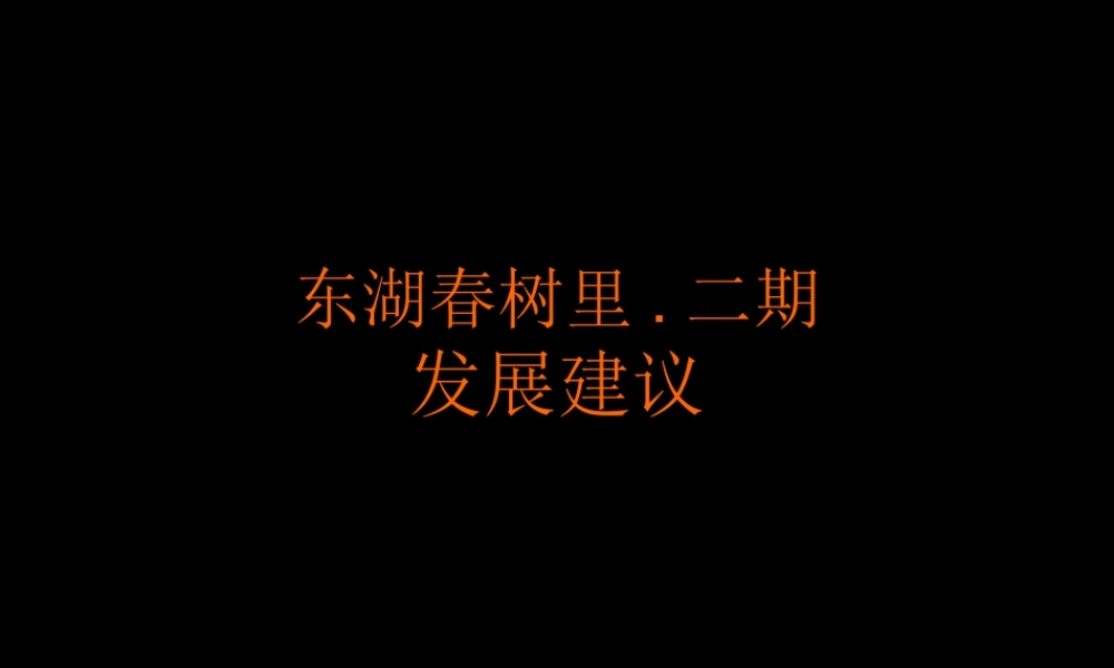 XXXX武汉东湖春树里二期商业都市综合体项目发展建议66