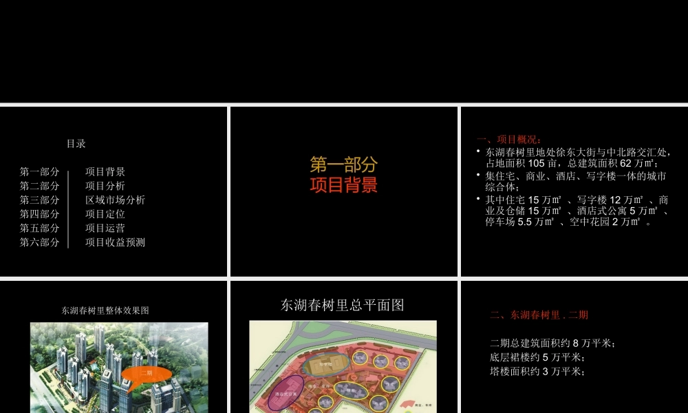 XXXX武汉东湖春树里二期商业都市综合体项目发展建议66