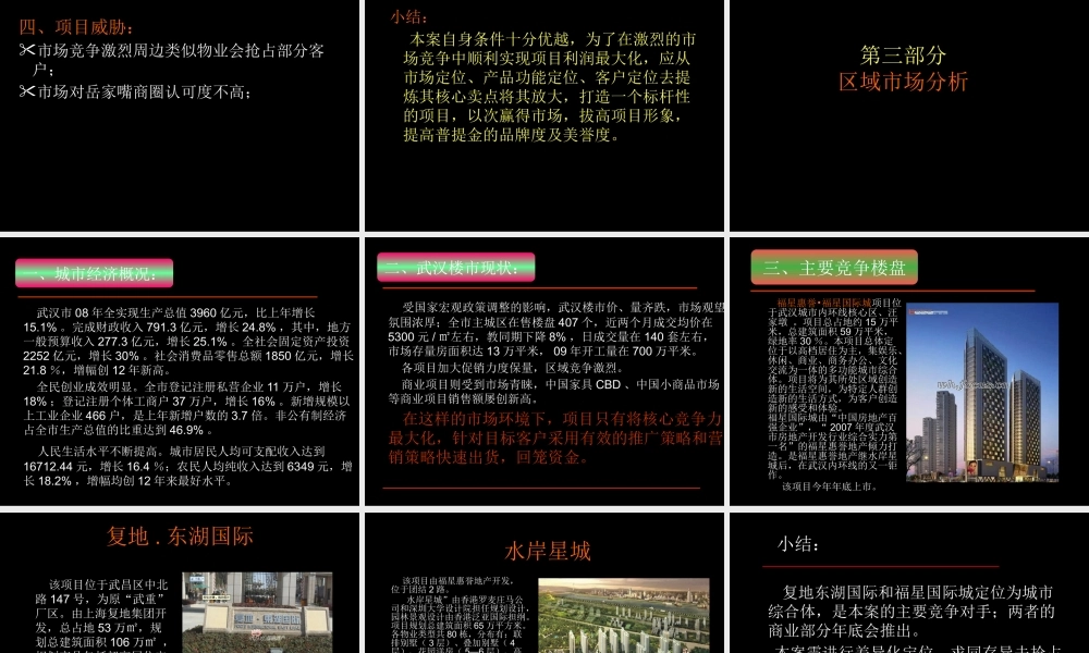 XXXX武汉东湖春树里二期商业都市综合体项目发展建议66