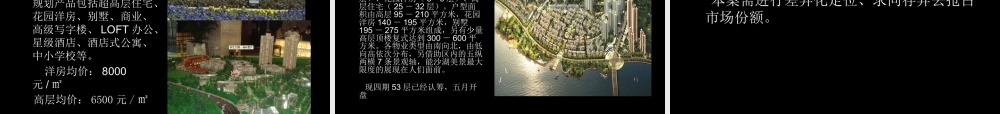 XXXX武汉东湖春树里二期商业都市综合体项目发展建议66