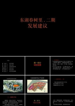 XXXX武汉东湖春树里二期商业都市综合体项目发展建议66