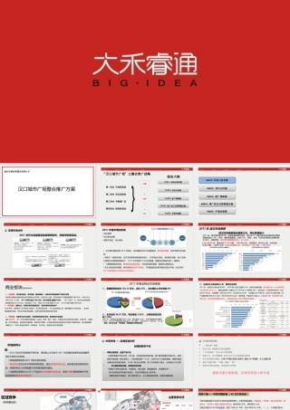 XXXX武汉汉口城市广场整合推广方案