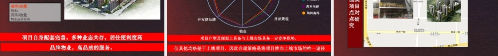 XXXX西安高新万家灯火全程运营报告
