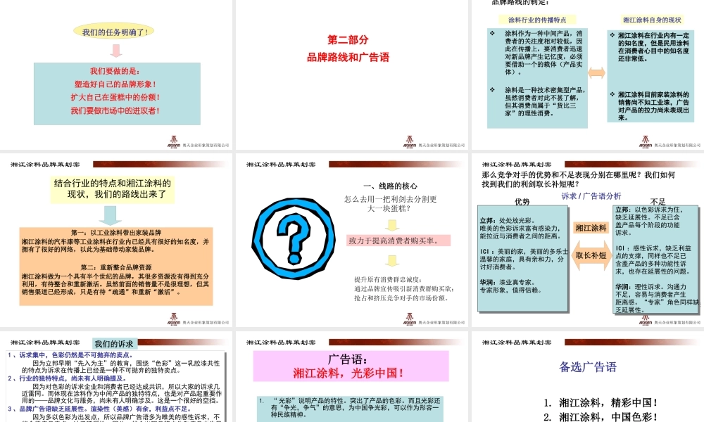 XXXX湘江涂料品牌整合案-37p