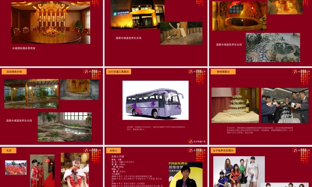 XXXX欣风翼科技咨询有限公司年会活动方案-29P