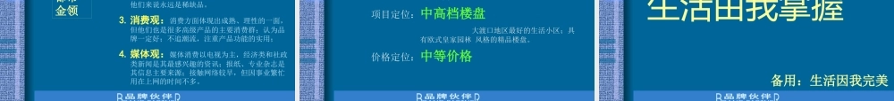 XXXX新-整合传播推广策划提案0520